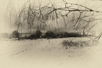 Gloomy / ***