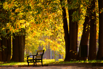 AUTUMN Benches / ***