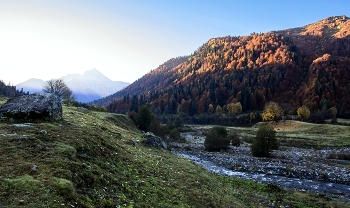 Autumn morning ... / ***