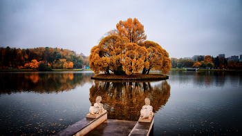 Autumn in the city / ***