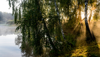 Morning on the lake. / ***