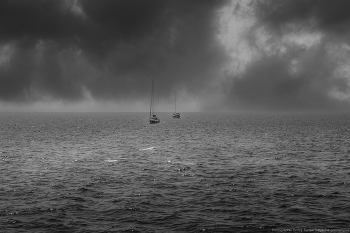 in the Sea / ***