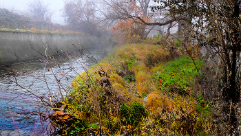 Foggy morning / ***