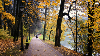 In autumn park / ***