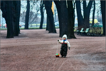 When the trees were large. / ***