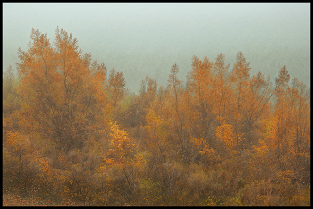 Autumn mists / ***