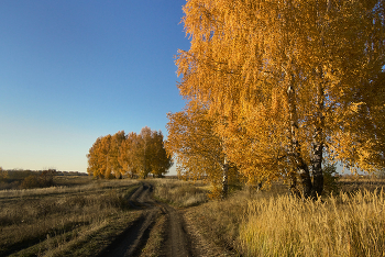 Golden Autumn / ***