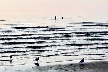 Evening / ***