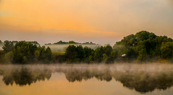 Summer morning. / ***