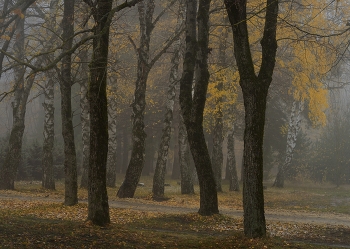 Fog dissipates / ***