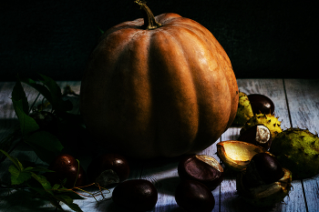 Pumpkin / ***