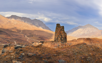 Tower / ***