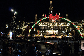 Wien-2024 / ***