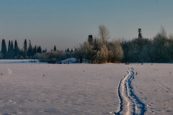 Winter day. / ***