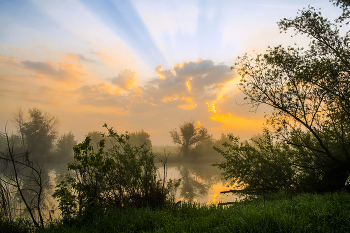 May morning / ***