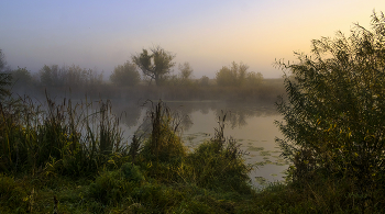 Morning in October. / ***