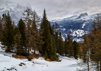 On the slopes / ***