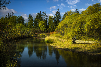 Autumn light / ***