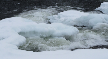 turn to spring / ***