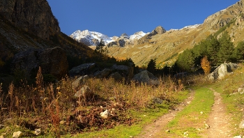 Morning in the mountains / ***