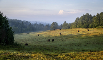 In August ... / .....