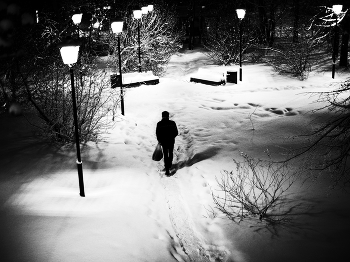 a park / ***