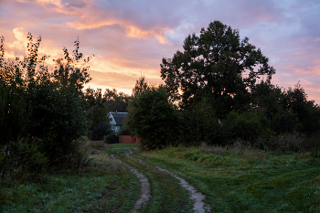 Home ... / ***