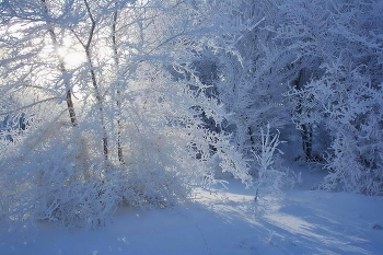 morning of New Year / ***