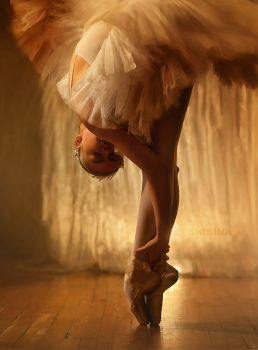 Ballet / ***