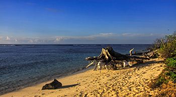 Bird Island beach / ***