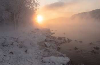 Yenisei sunset / ***