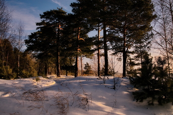 Winter evening. / ***