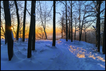 Sunrise in the forest / ***