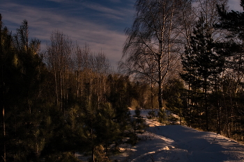 Winter evening. / ***