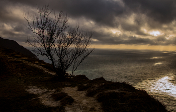 Somewhere on the edge of the earth / ***