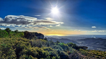 Arbolí - bosc i sol - Baix Camp / Arbolí - bosc i sol - Baix Camp