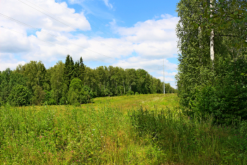 Moscow region / ***