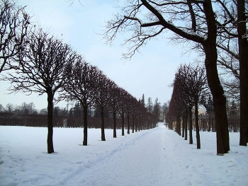 In Tsarskoye Selo / ***