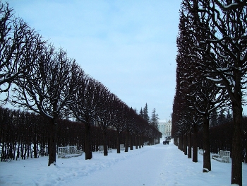 In Tsarskoye Selo / ***