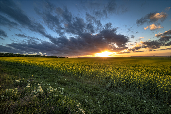 Evening Dawn / ***