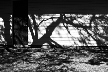 Shadows on the sand / ***