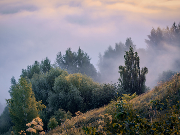 Fog dissipates / ***