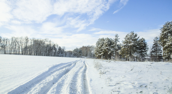 Winter in the village / ***