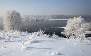 winter / ***