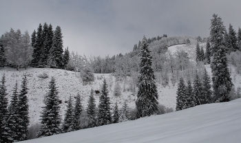 Winter in the mountains / ***