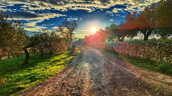 Montblanc - camí Josep Conangla - Conca de Barberà / Montblanc - camí Josep Conangla - Conca de Barberà