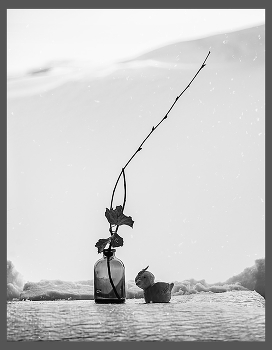 Waiting for Spring / ***