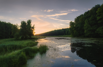 In the dawn hour / ***