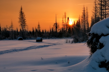 Evening / ***
