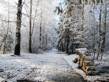 Where firewood? / ***